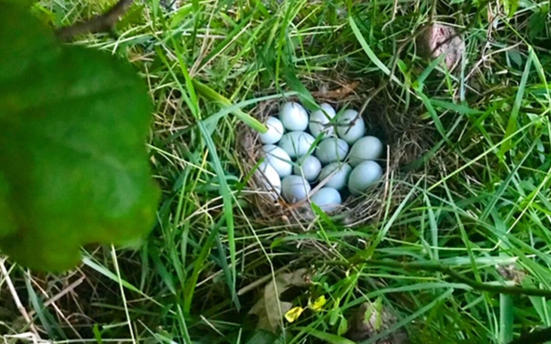 He Finishes What He Starts