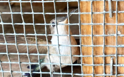 Hold Everything Loosely